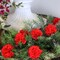 Elegant Red Carnations - Ideal for DIY Weddings, Centerpieces, Home Decor; Lifelike Faux Flowers with Stems, Stunning, Floral Home by Artificial Flowers
